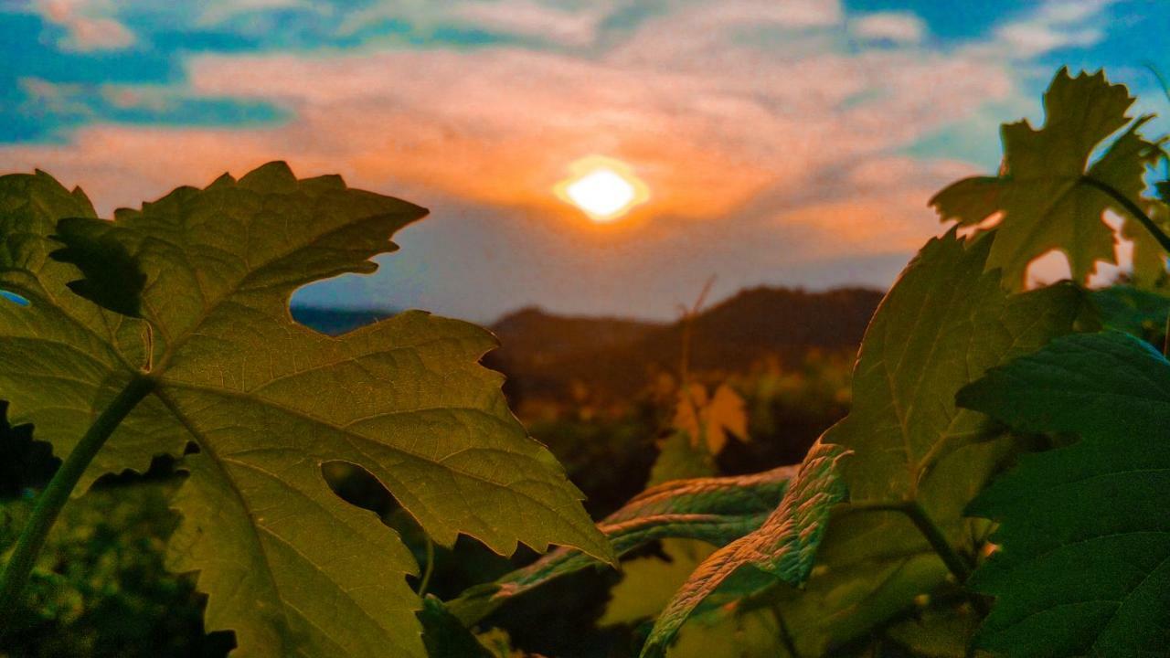 Agriturismo "Le Giustizie" Agliano Terme Buitenkant foto
